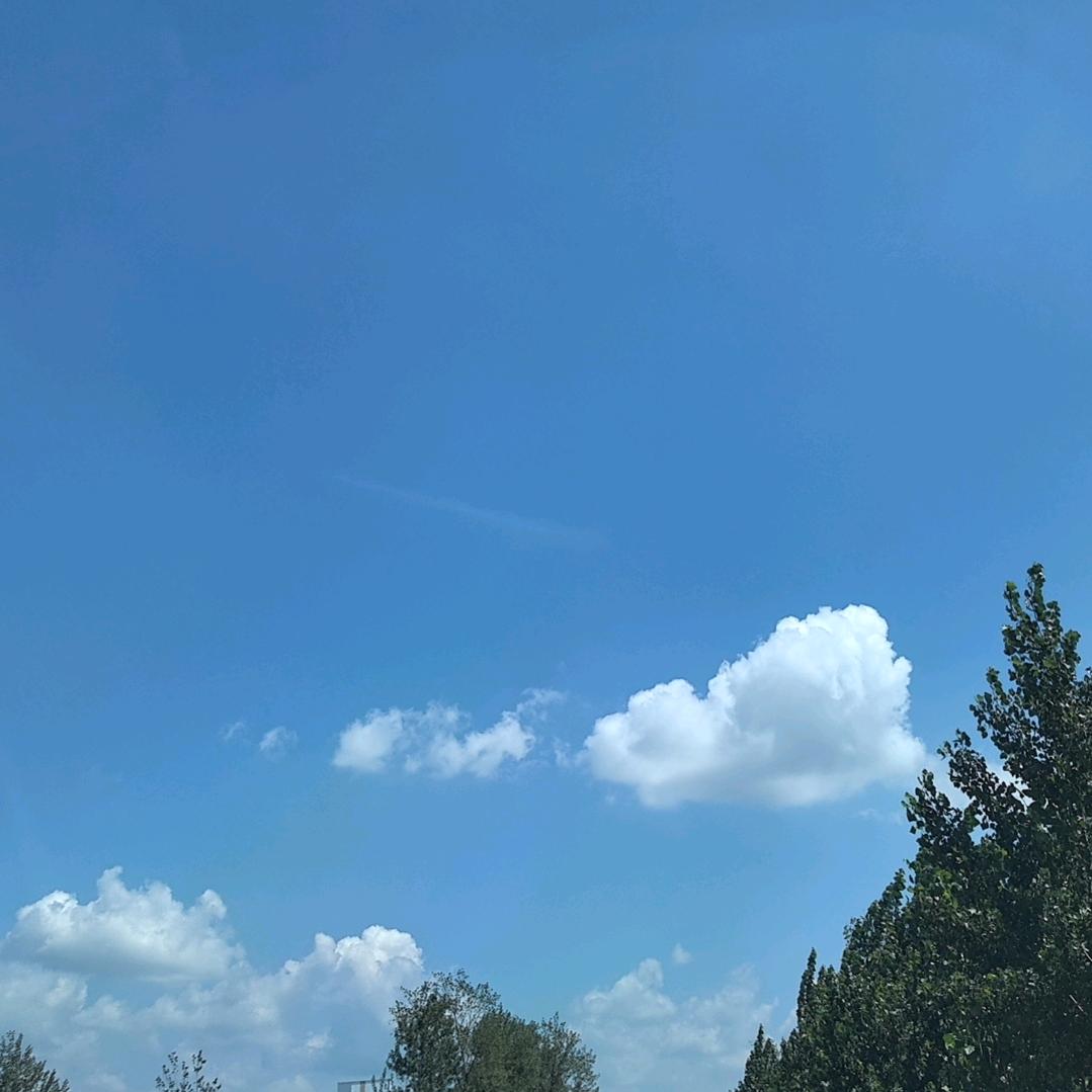 张某不是张总