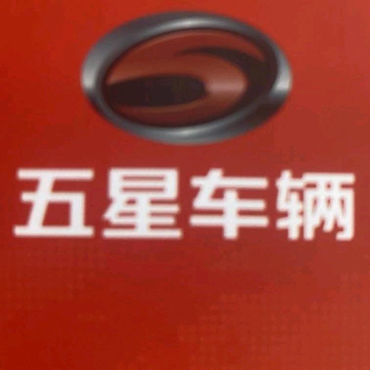 五星  双枪电动三轮车华南城店