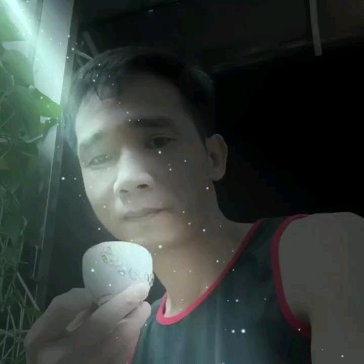 龙晖