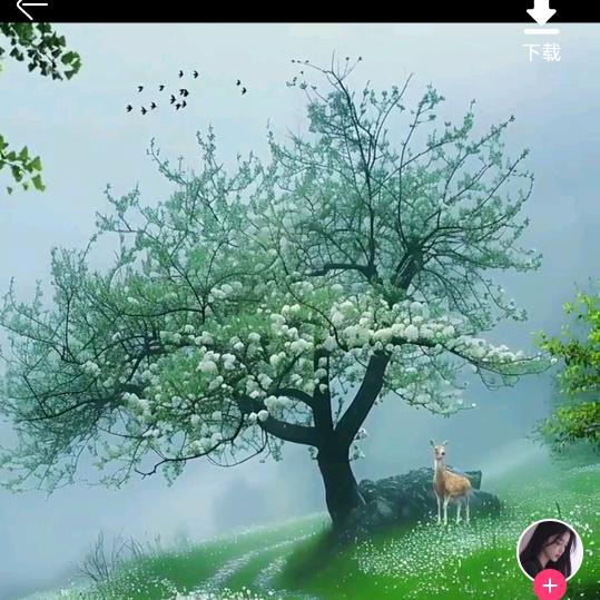 一无所有的年纪