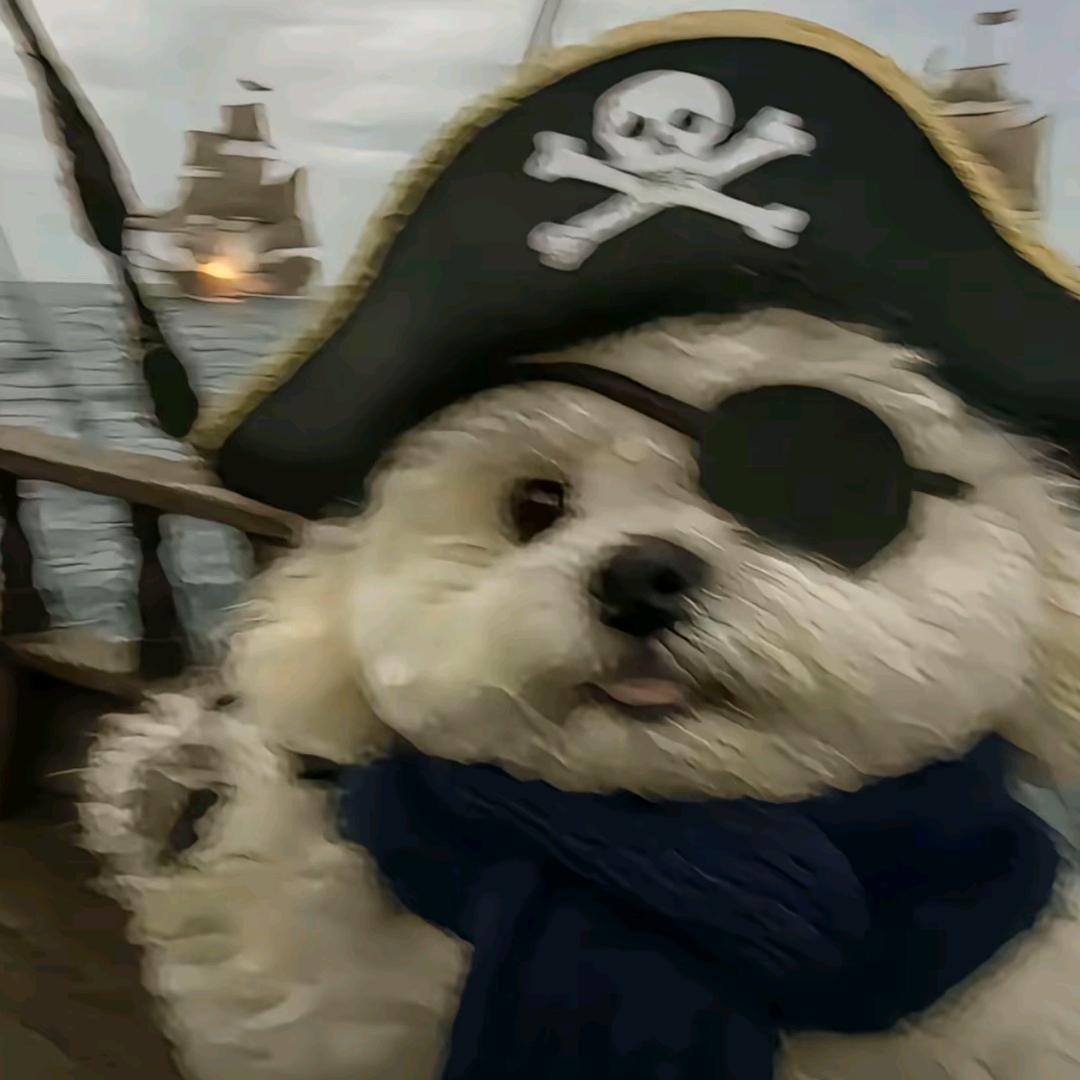 风吹过笔记本的每一页