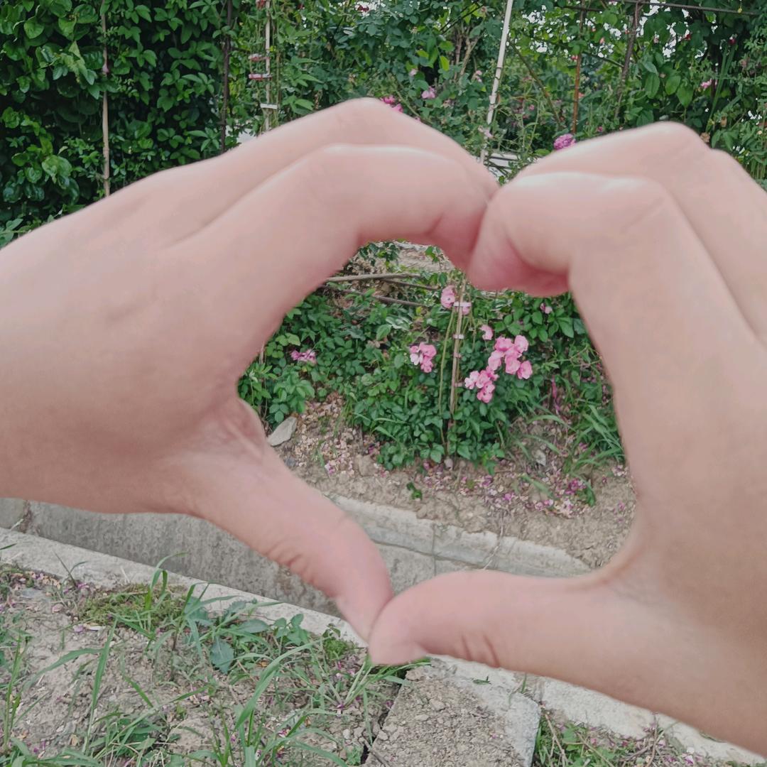 @一路生花