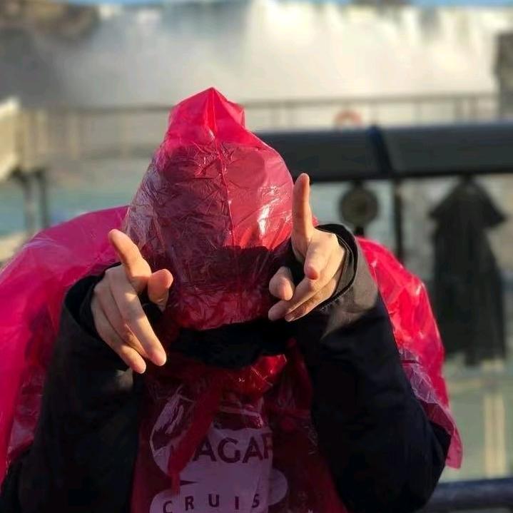 蝴蝶飞出潜水钟🍏