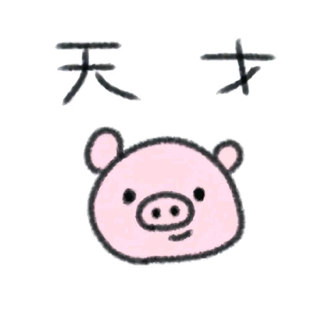 17岁天才中单