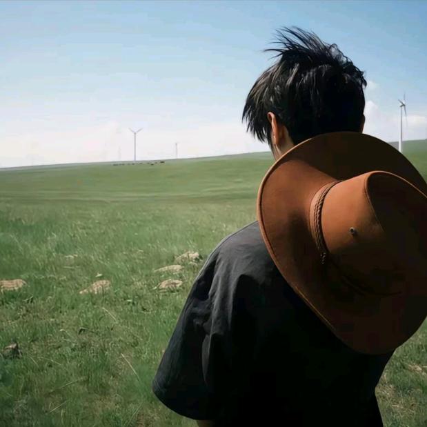 把爱留在海贼王