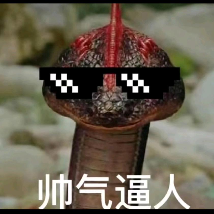 尸与jing方