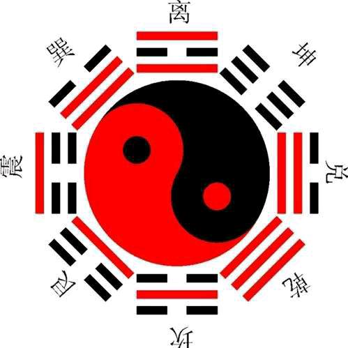 百科智慧
