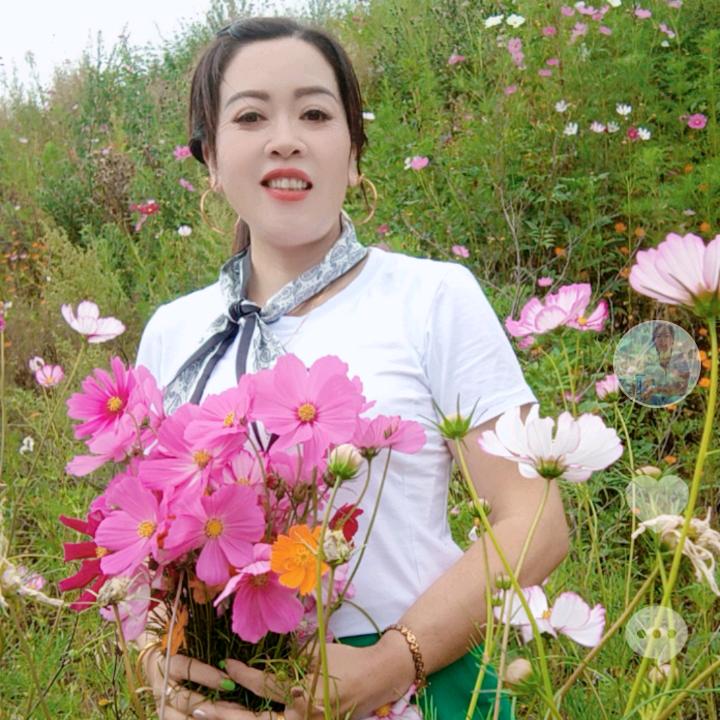 保芸姐