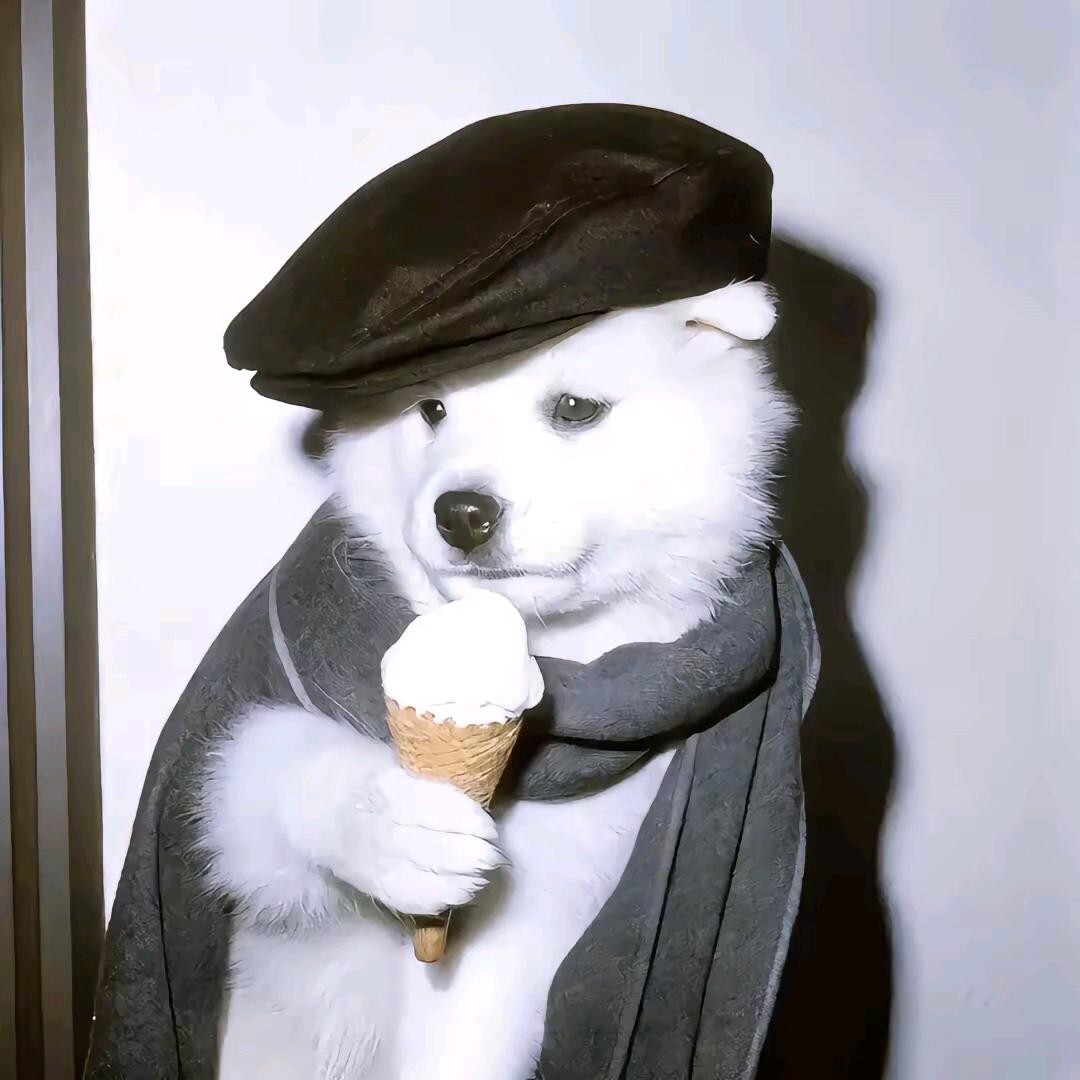 凶猛的冰水