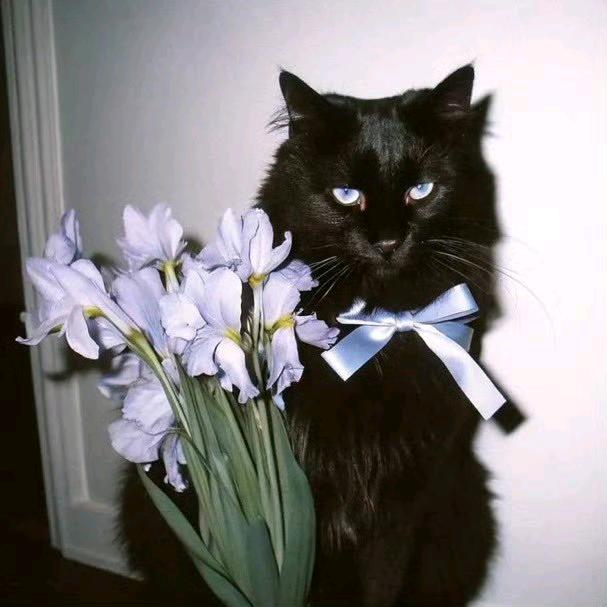 唯可乐（闭关）