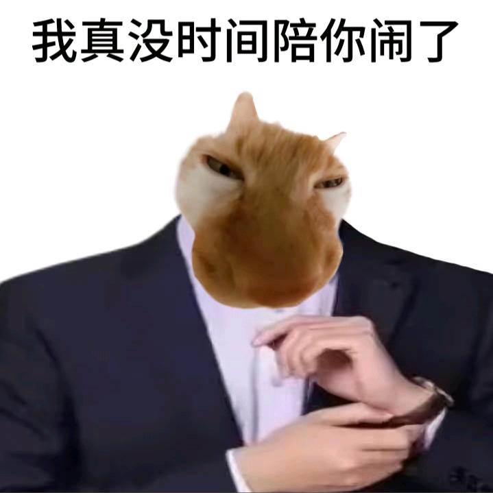 YIn
