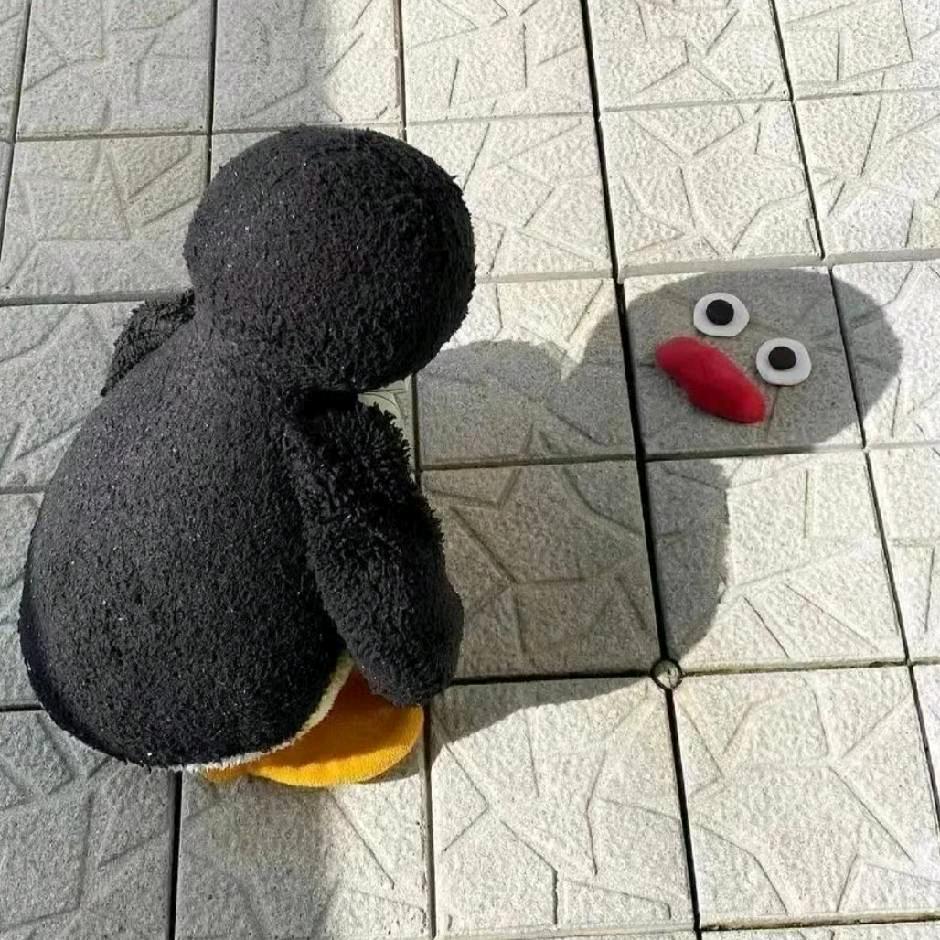 漫步的猫