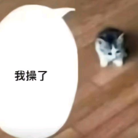 喵不可耶！