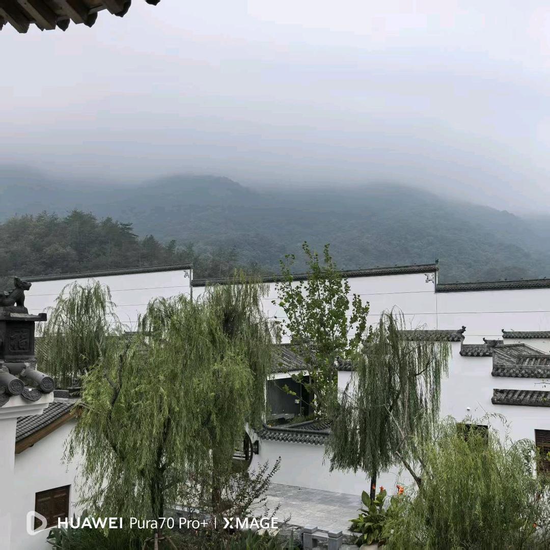 小五手工鞋垫——弘简艺
