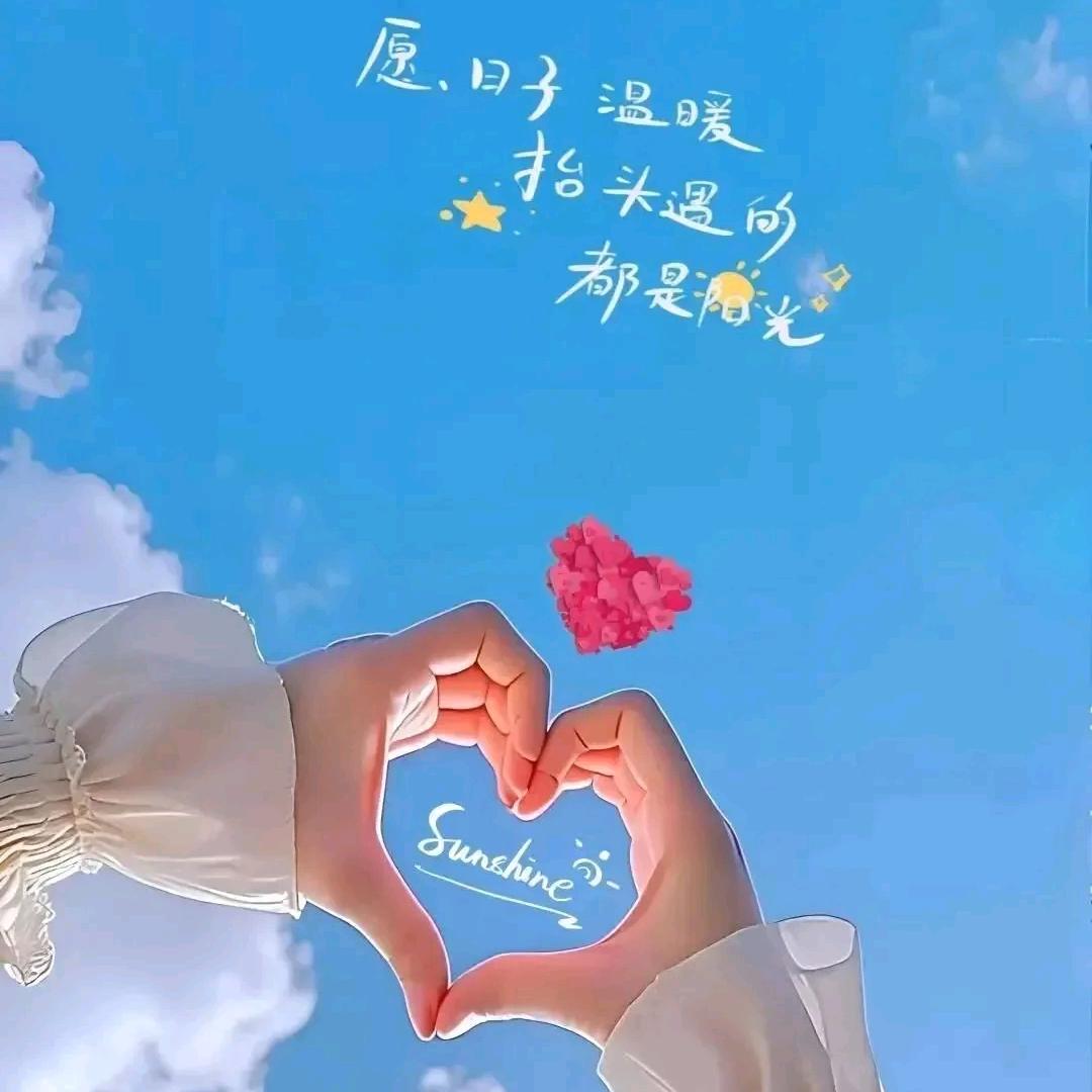 💞随缘🌱