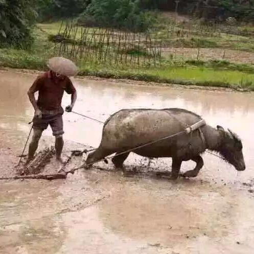 用户99215：阿郎