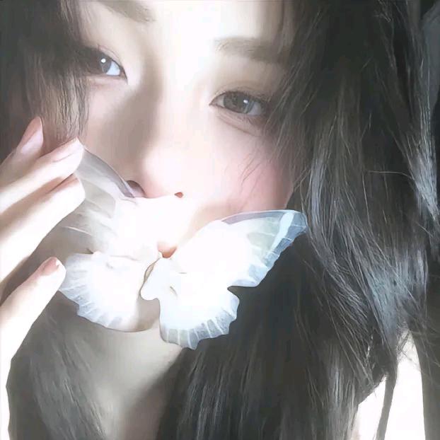 冰冰捧花花🌸