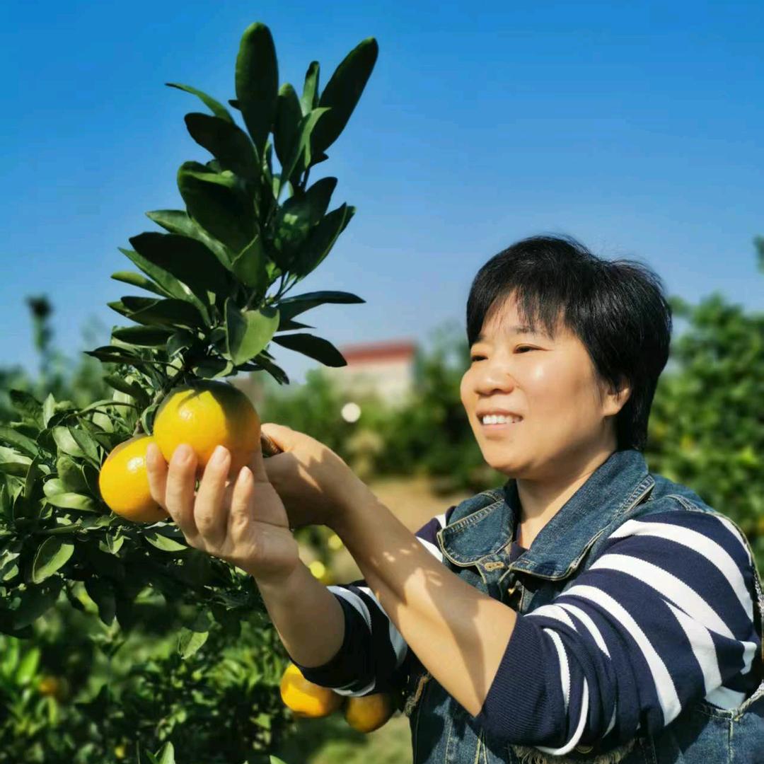 周诚超市官方号