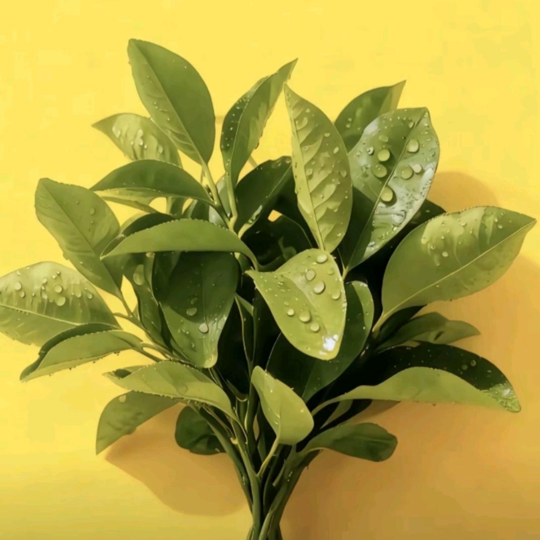 ღᩚ᭄向前看，向💰看ৡᩚ࿐