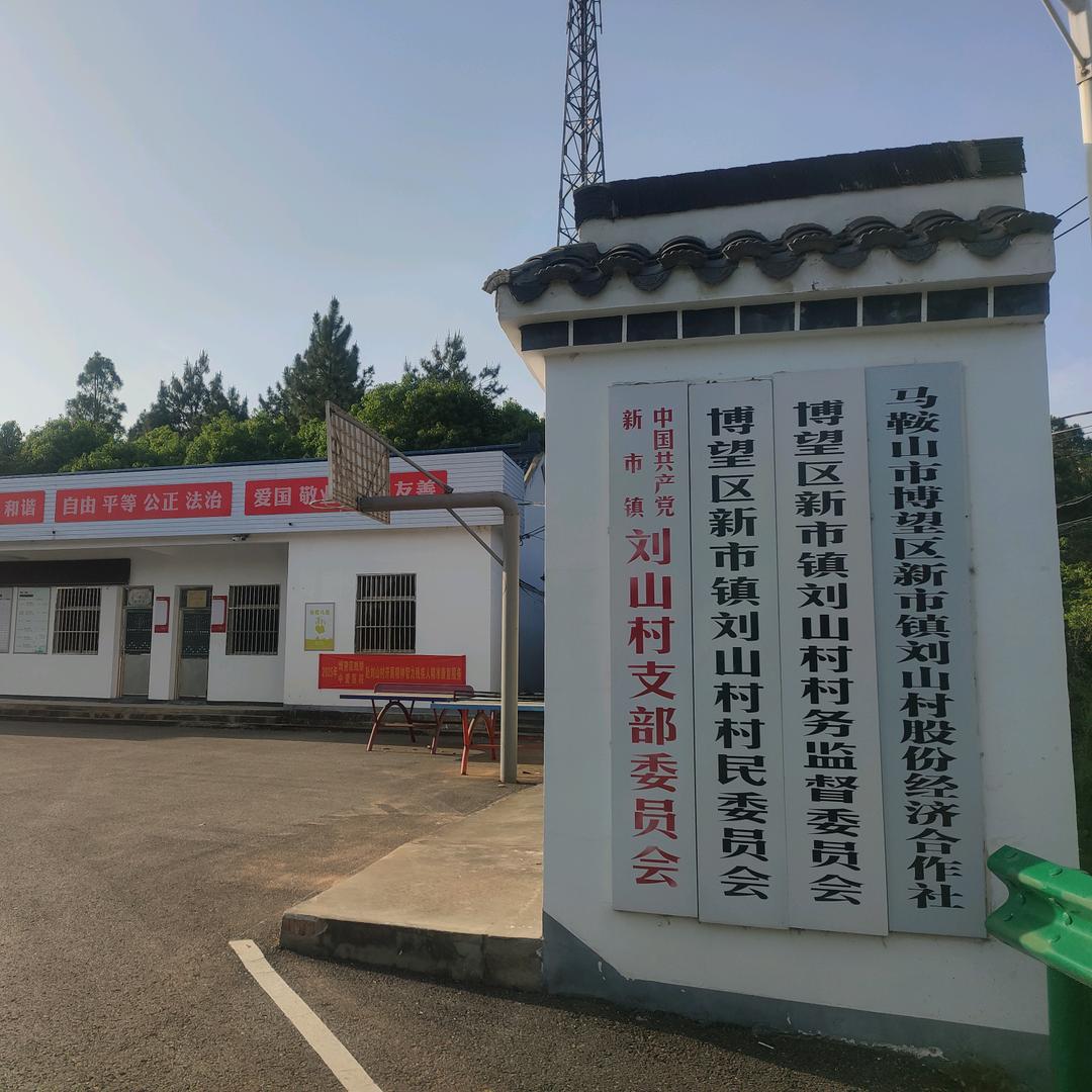 刘山村乡味直播间