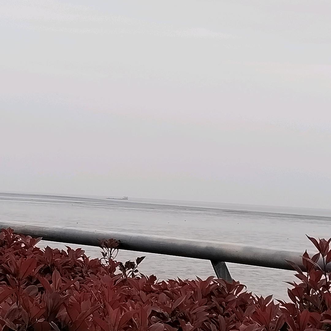 一枝花