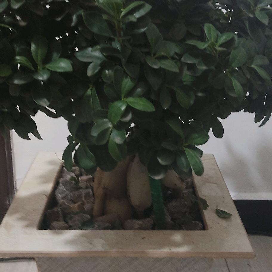 梦想在前总有一天会有的