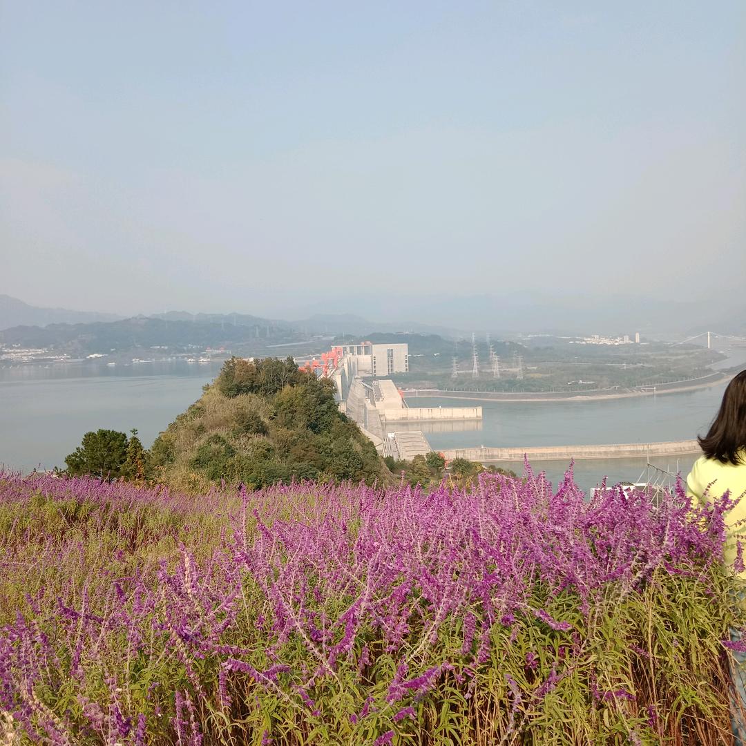 ℳ̶̶̶̶♡̶҉柠染ℳ