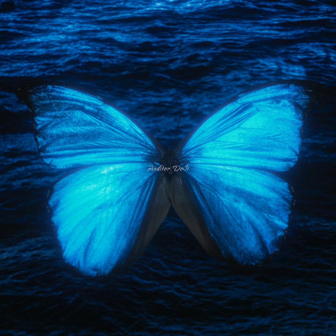 ᴬᵘᵈᶤᵗᵒʳˑᴰᴼᴶᴵ