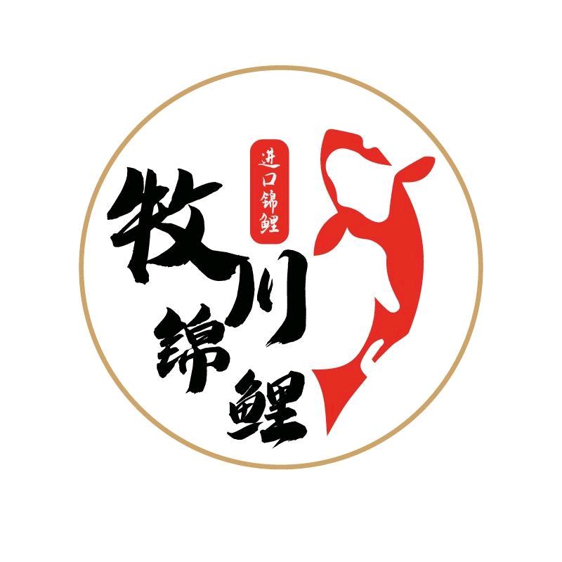 牧川锦鲤（小号）