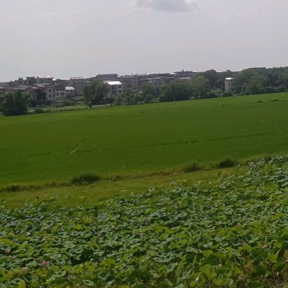 阿文涂装、旧房翻新刷白