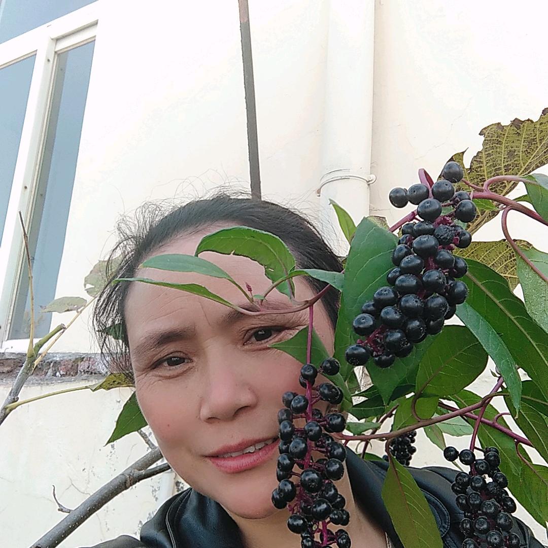 戏迷张姐