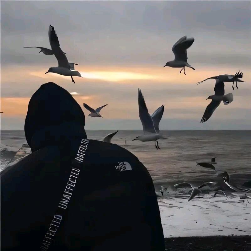 泉壹嘉海哥
