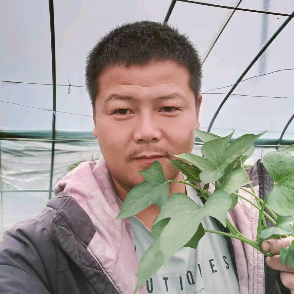 现代奋斗小农民-徐鑫磊