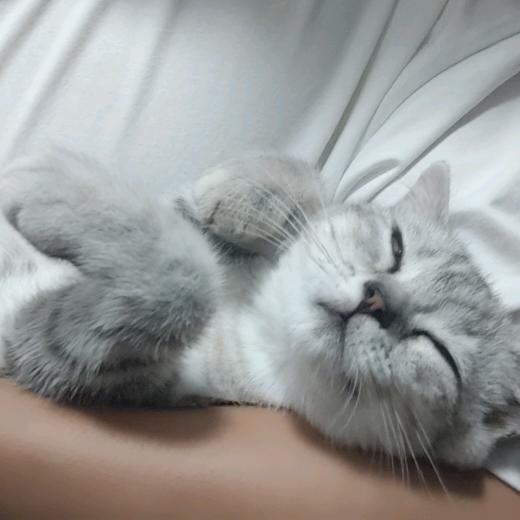 愁姆