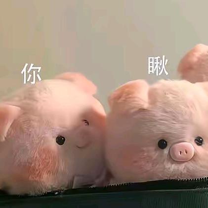 小姨子