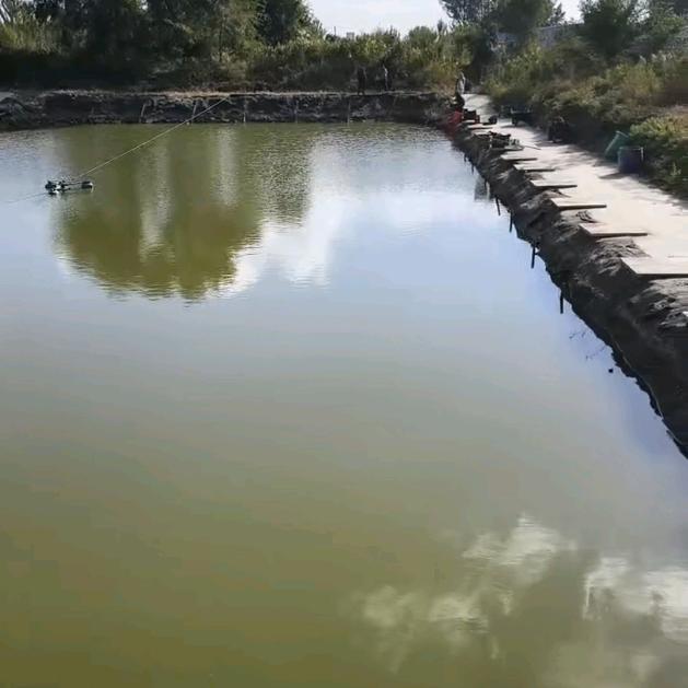 沈阳红太阳垂钓园