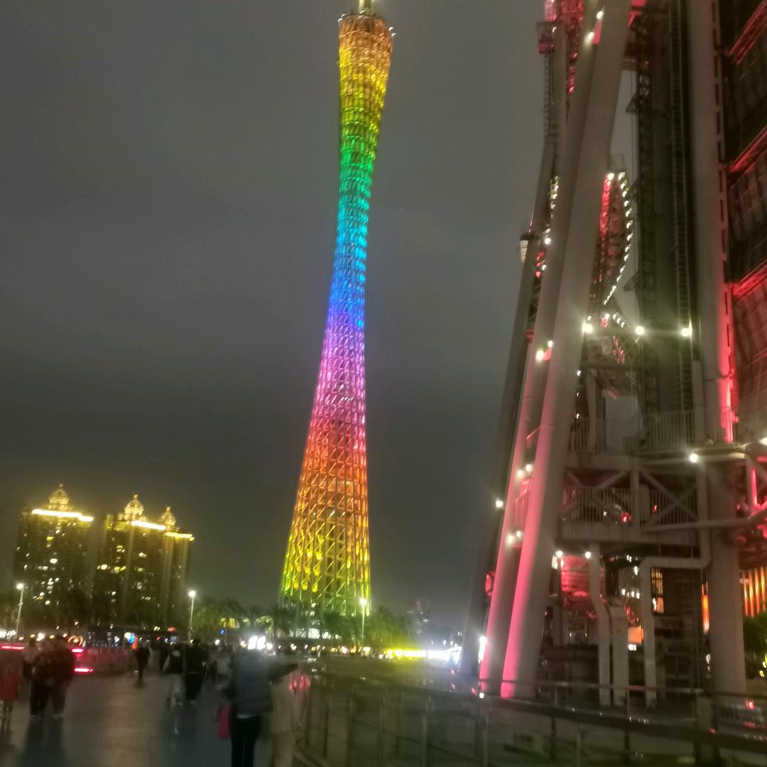 赵青丽