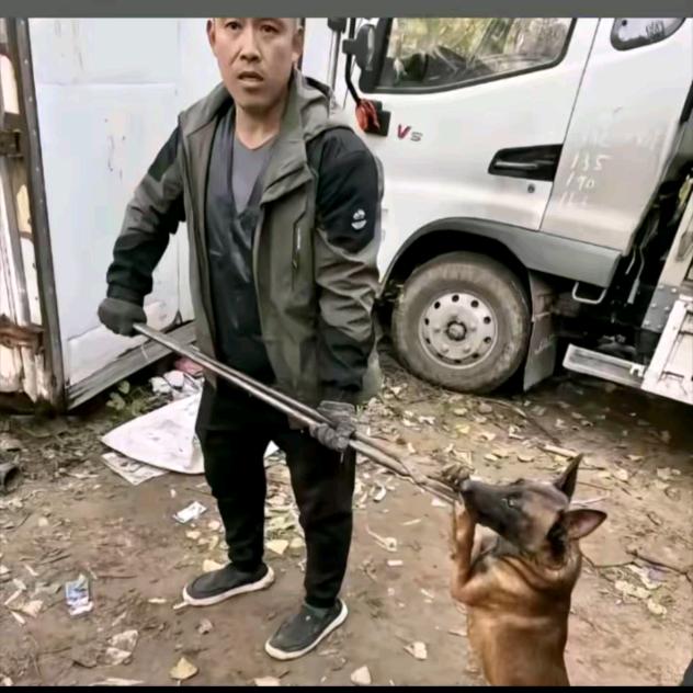 AAA专业套狗小袁