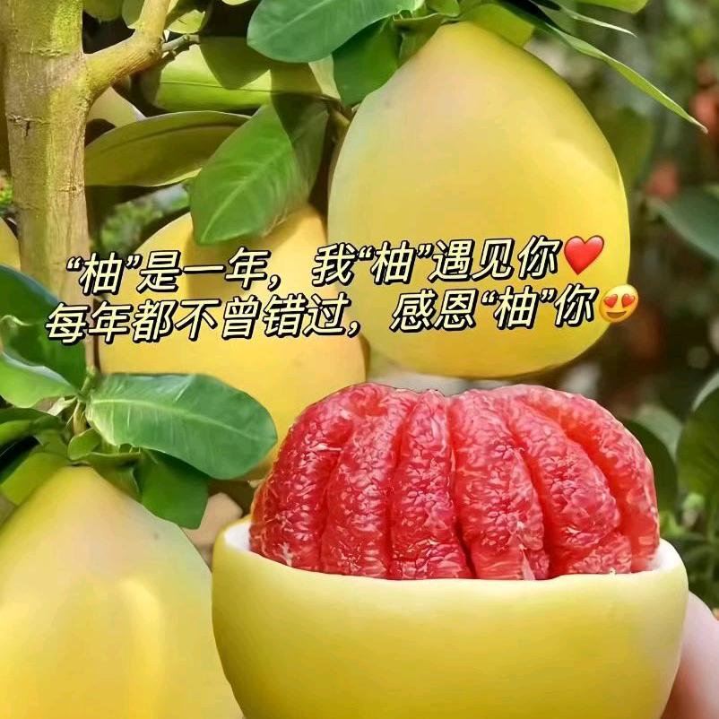 平和紫七助农甄选