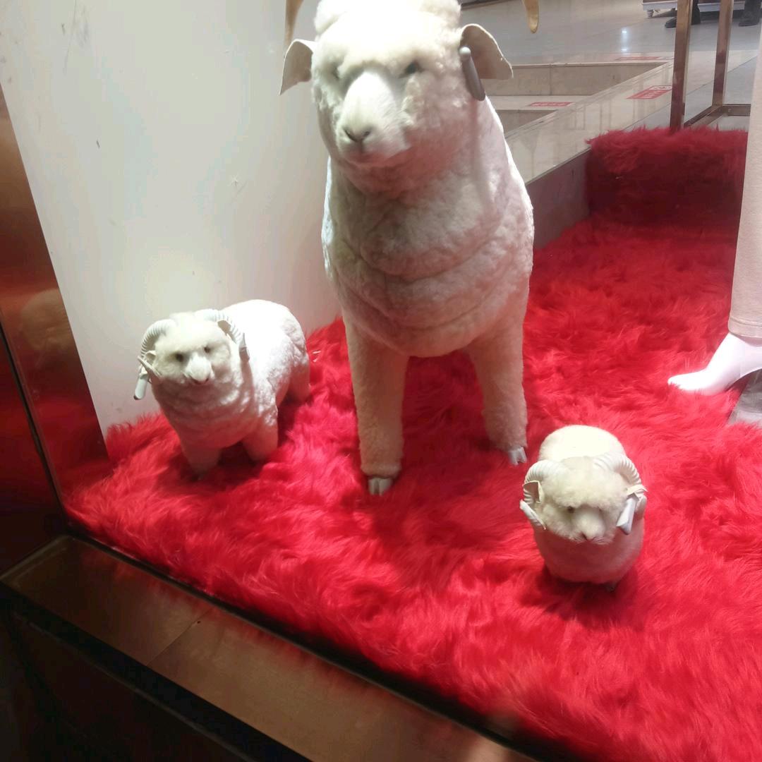 马二姐