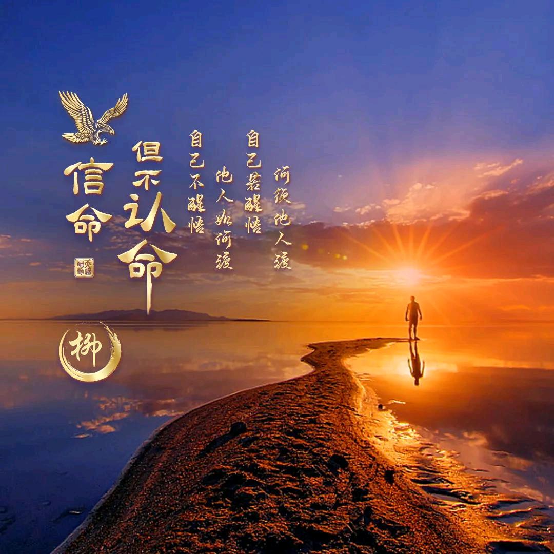 喜欢法罗海的傅云头像