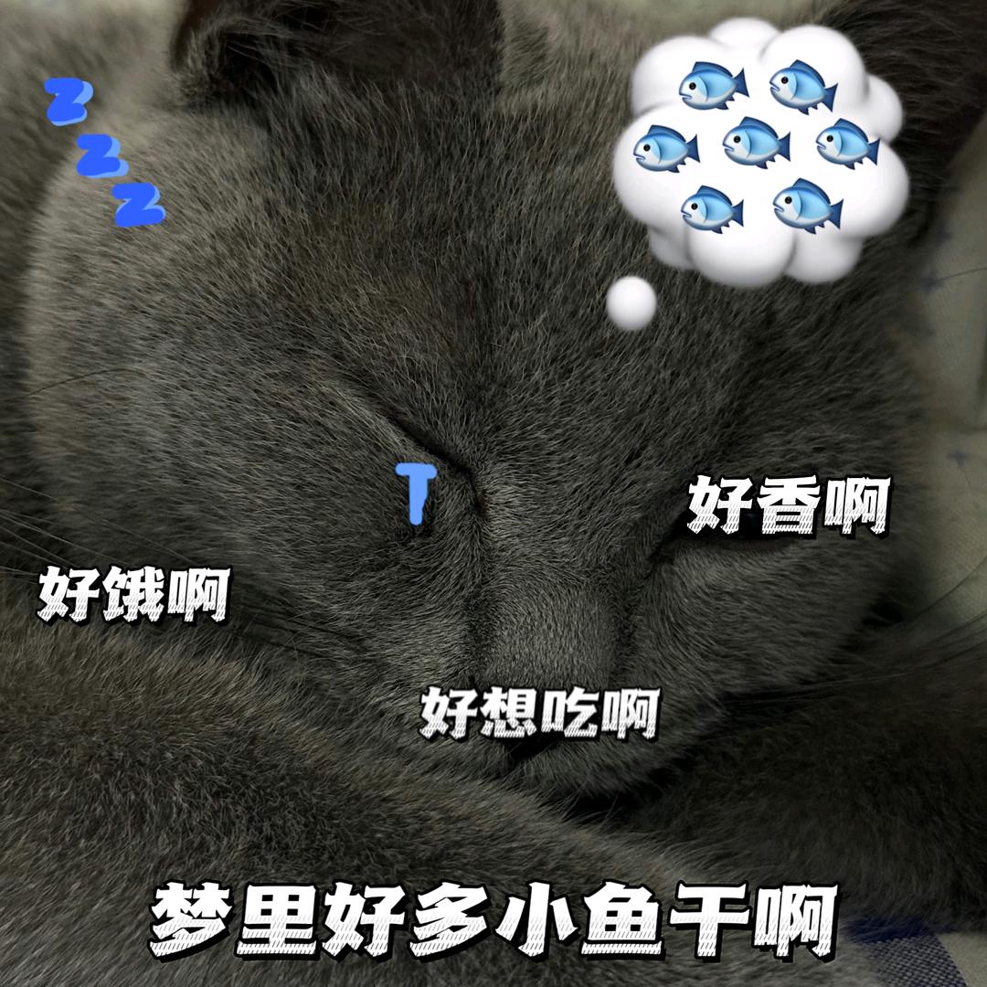 泼忒头