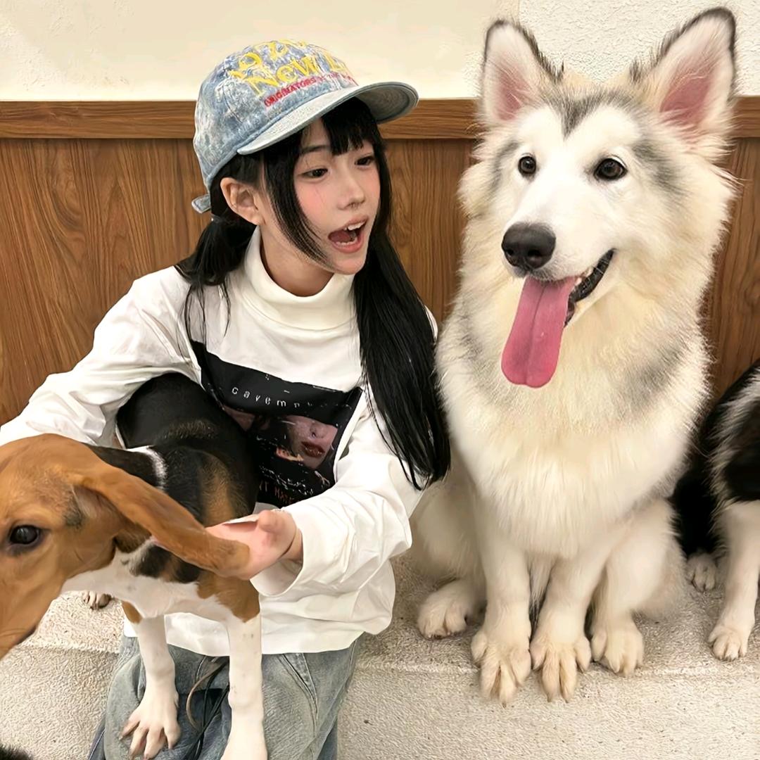 麦旋风小葵