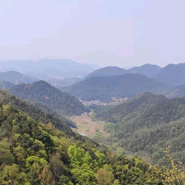 丽渝