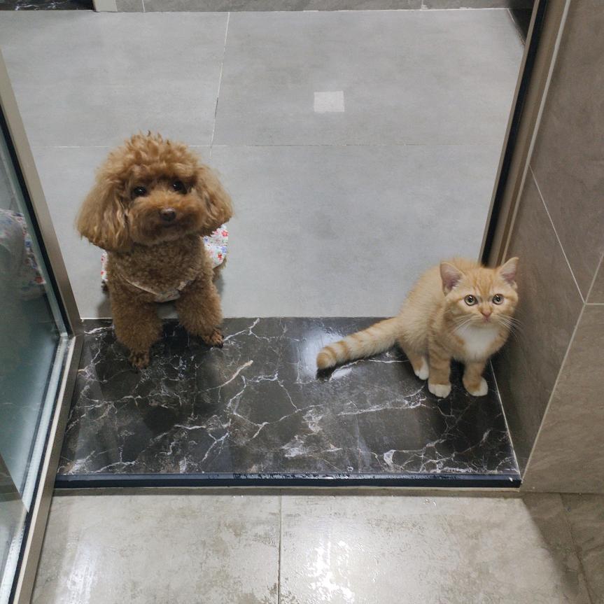 💰💰八方来财💰💰