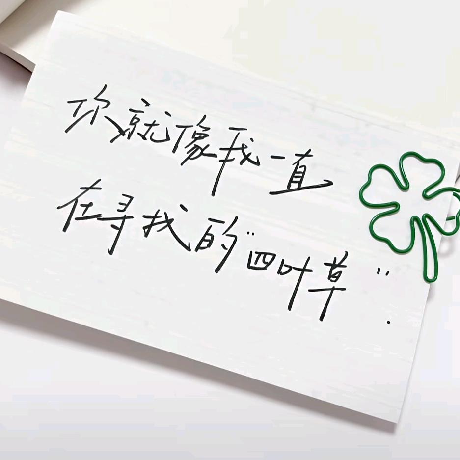 以  大  橘🌸  为  重