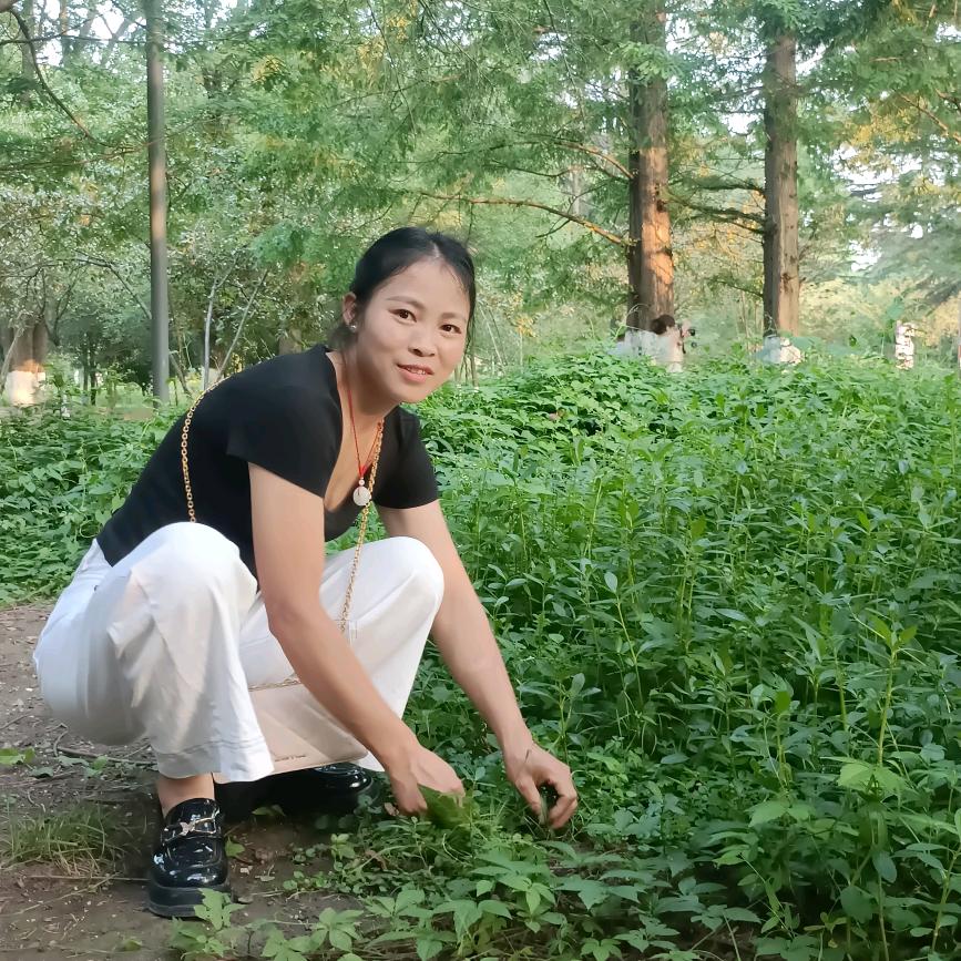 袁小秀