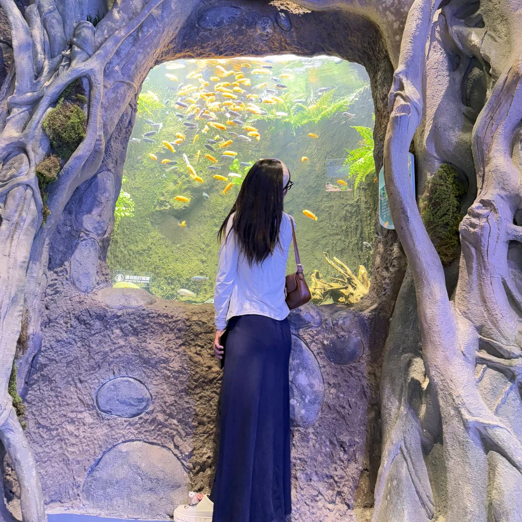 襄阳保洁👑娟姐