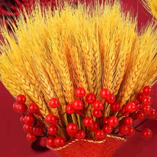 蒙风野韭菜花涮肉官方号