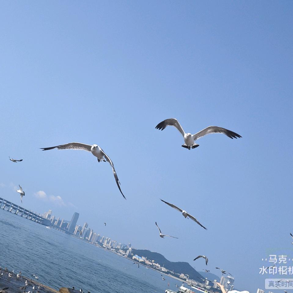 锦州英超汽校孙丽